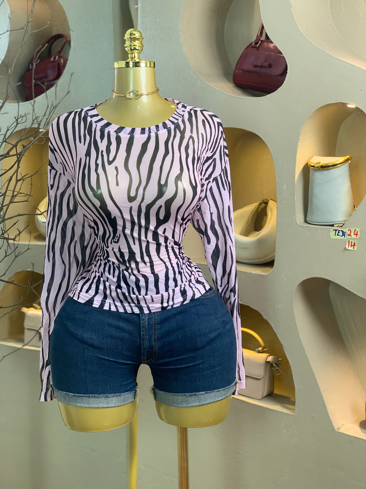 TEJU24 SIZE14