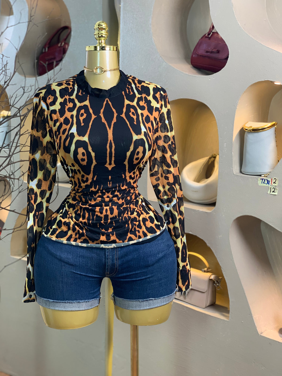 TEJU12 SIZE12