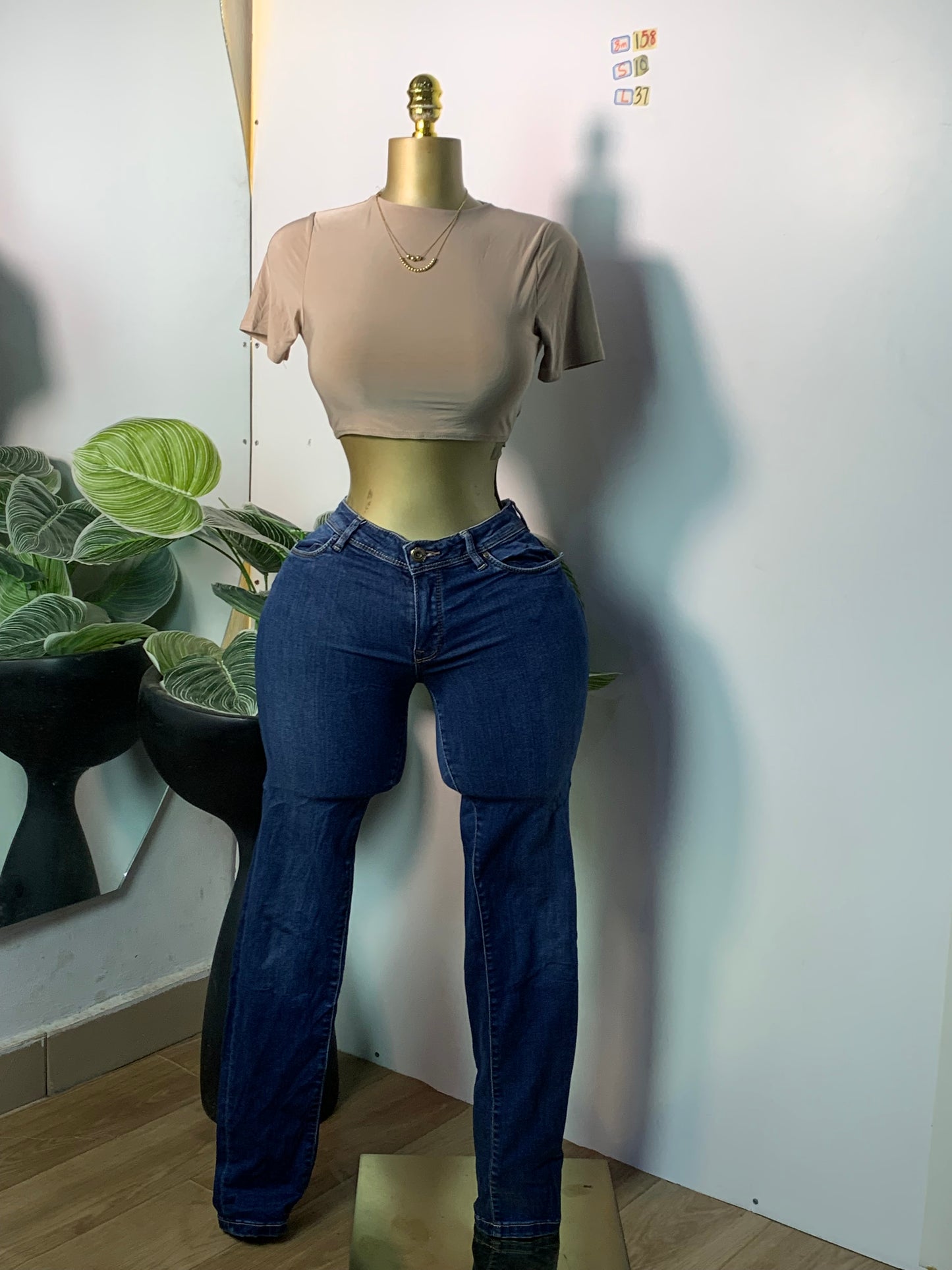 SIZE10 8M158 Length37 (Jean Only))