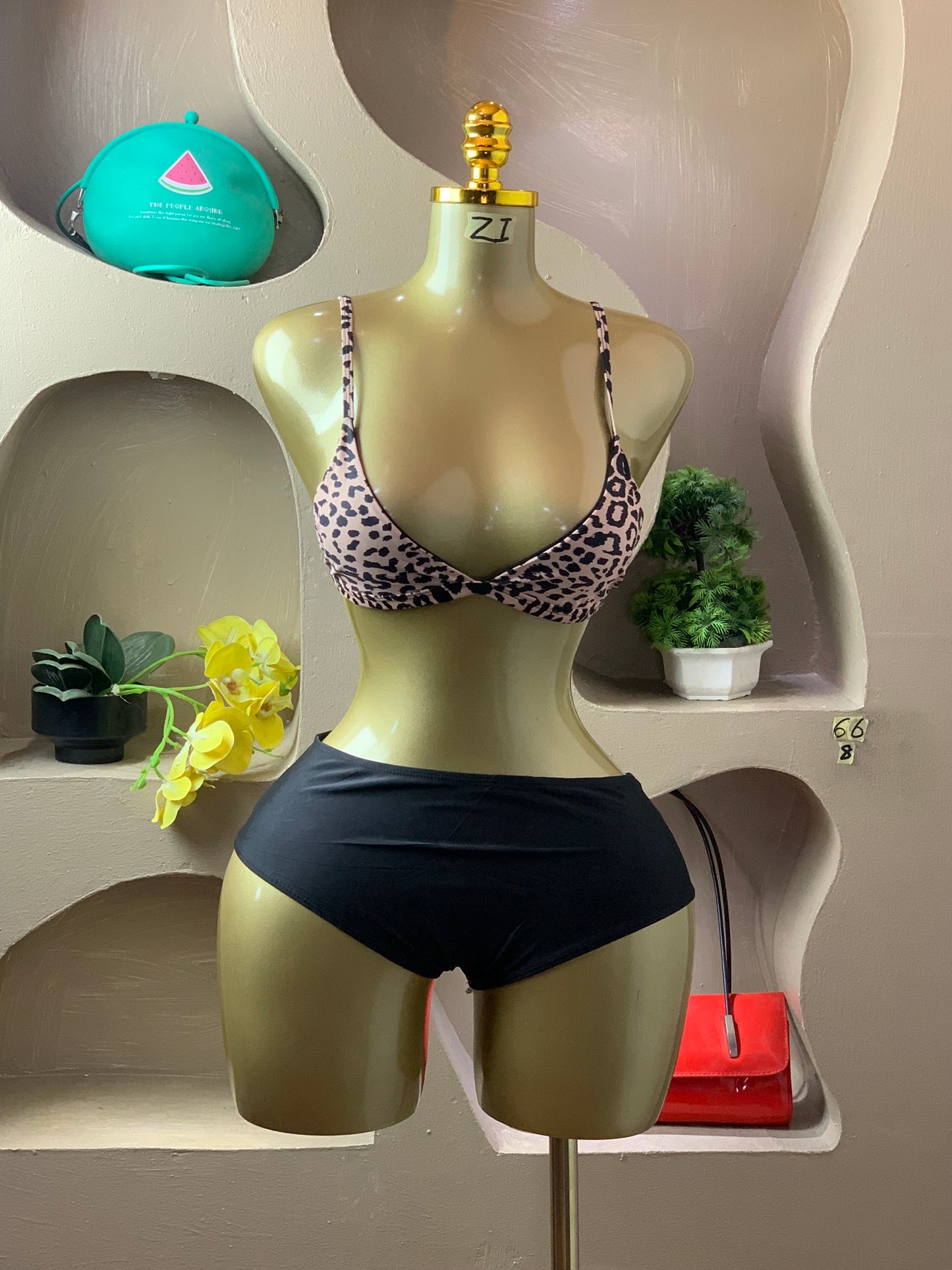 SIZE8 ZI66
