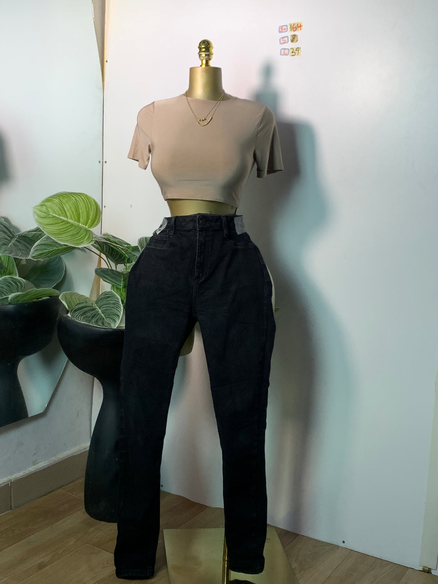 SIZE8 8M164 Length39 (Jean Only))