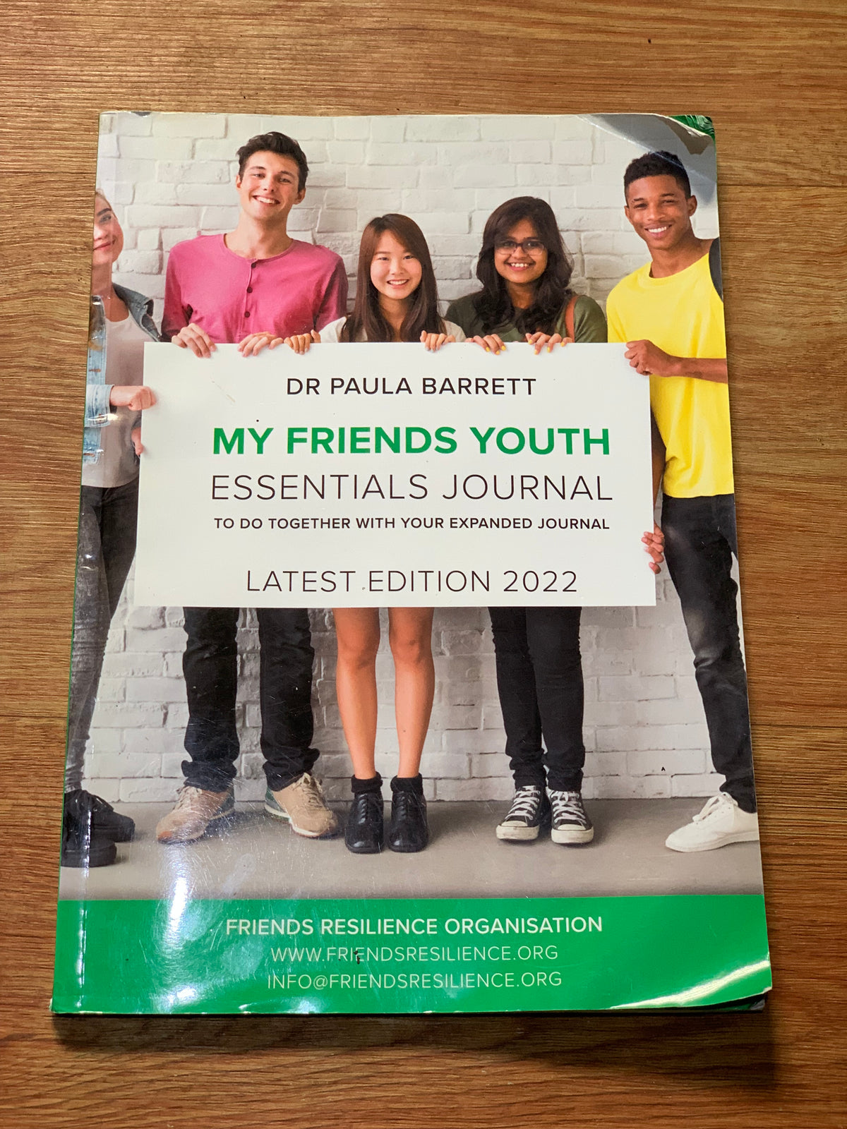 MY FRIENDS YOUTH