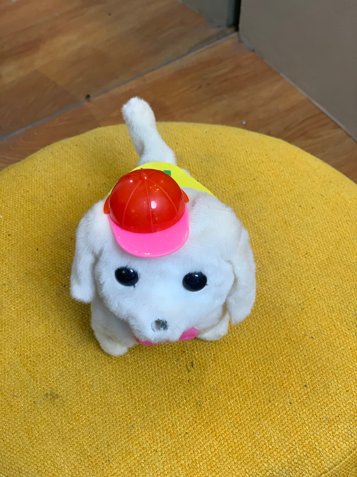 WHITE PUPPY