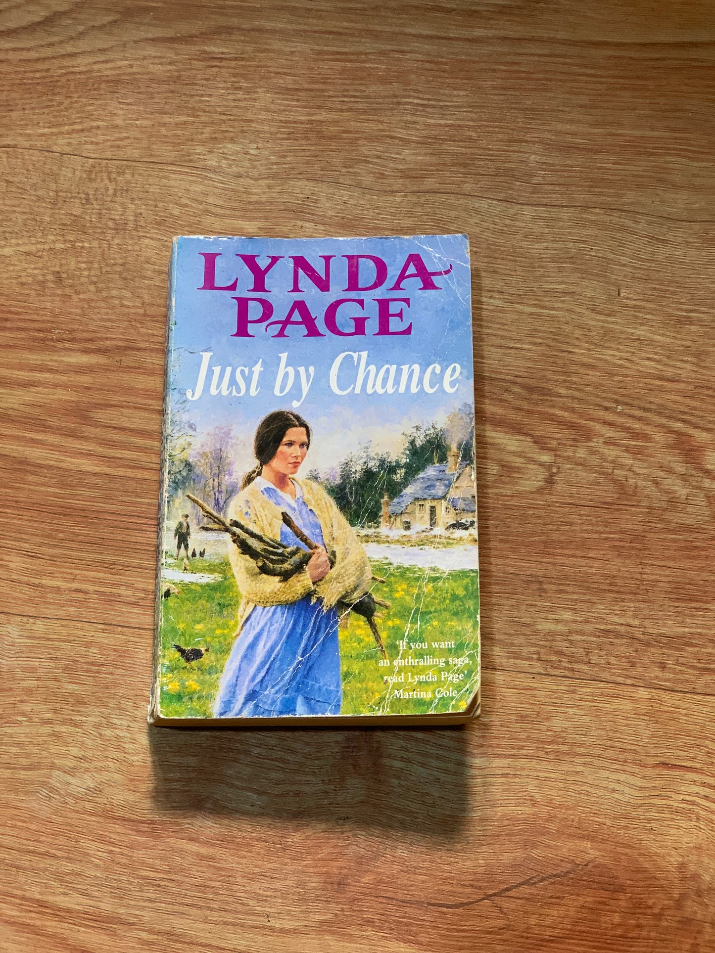 JUST BY CHANCE