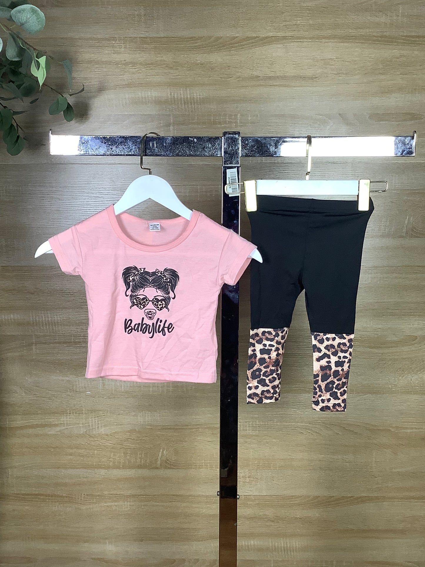Daisy107 (12-18month)