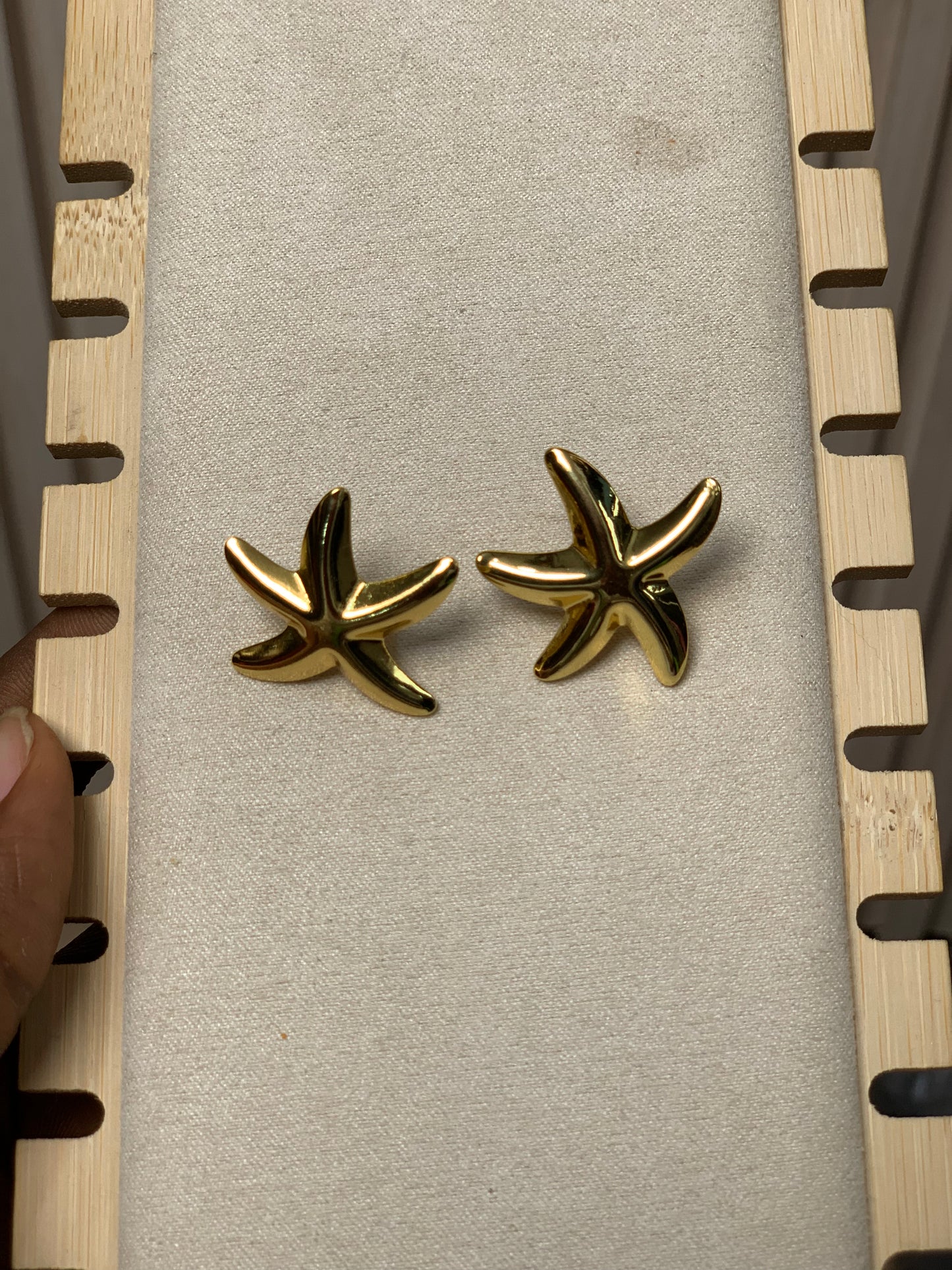 Earring E31