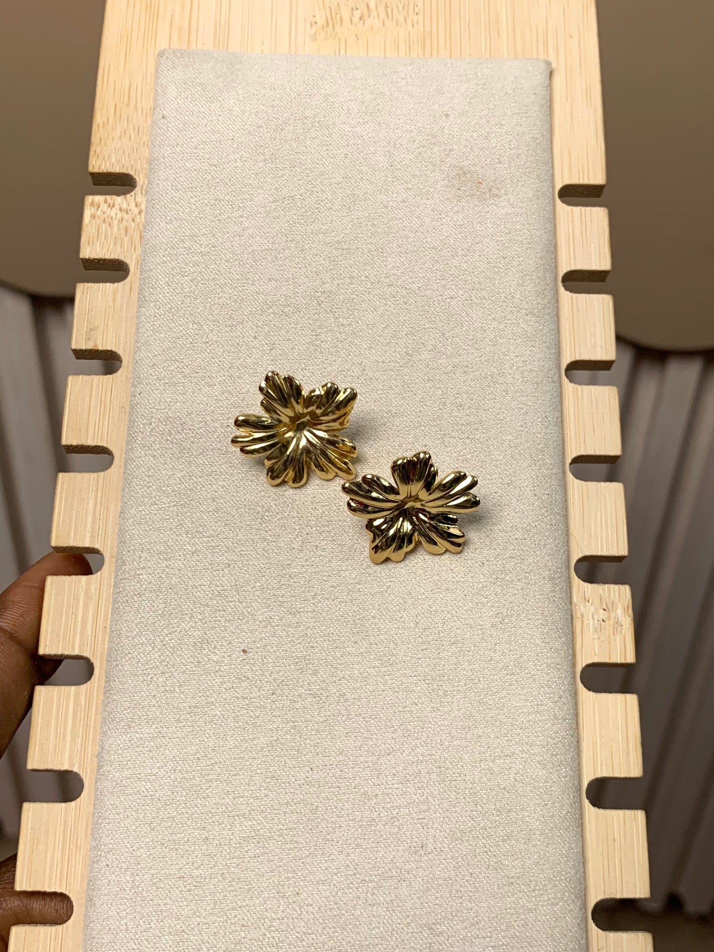 Earring E56