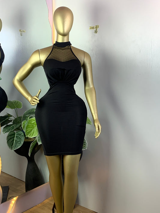 SIZE6 2DEC21 LENGTH38