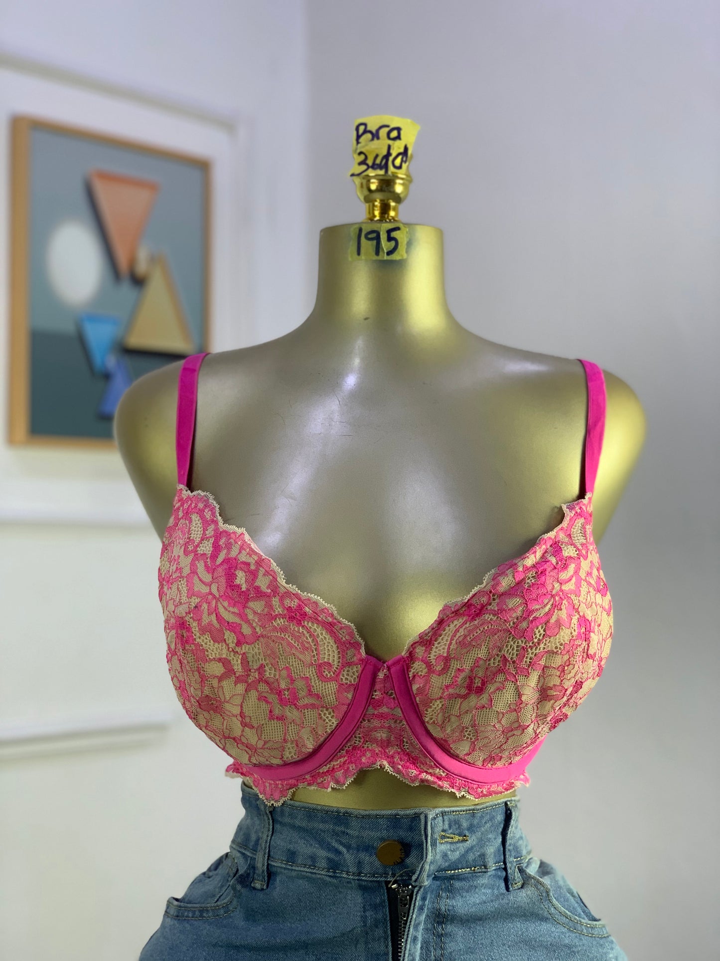 SIZE 36DD BRA 195