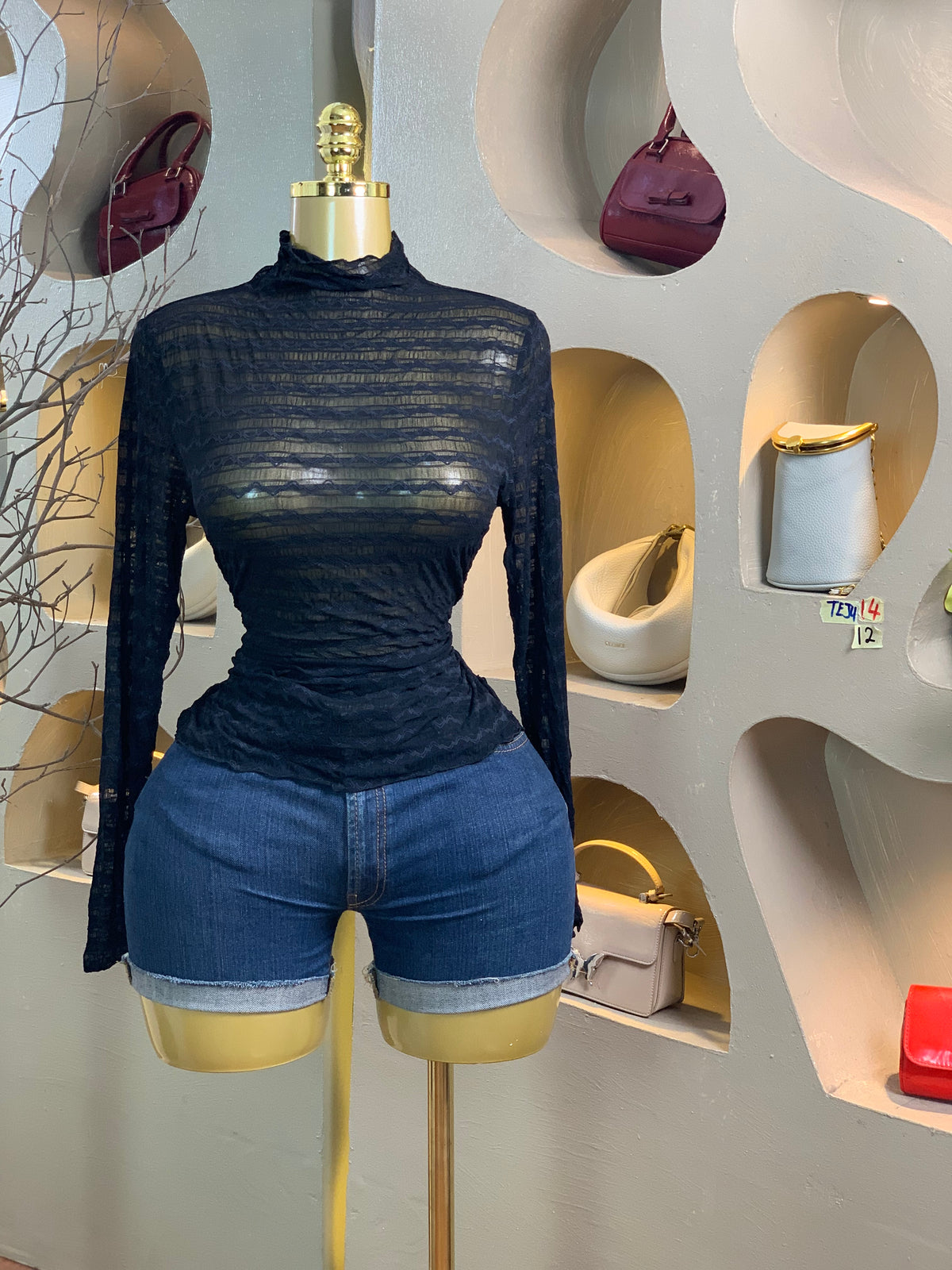 TEJU14 SIZE12