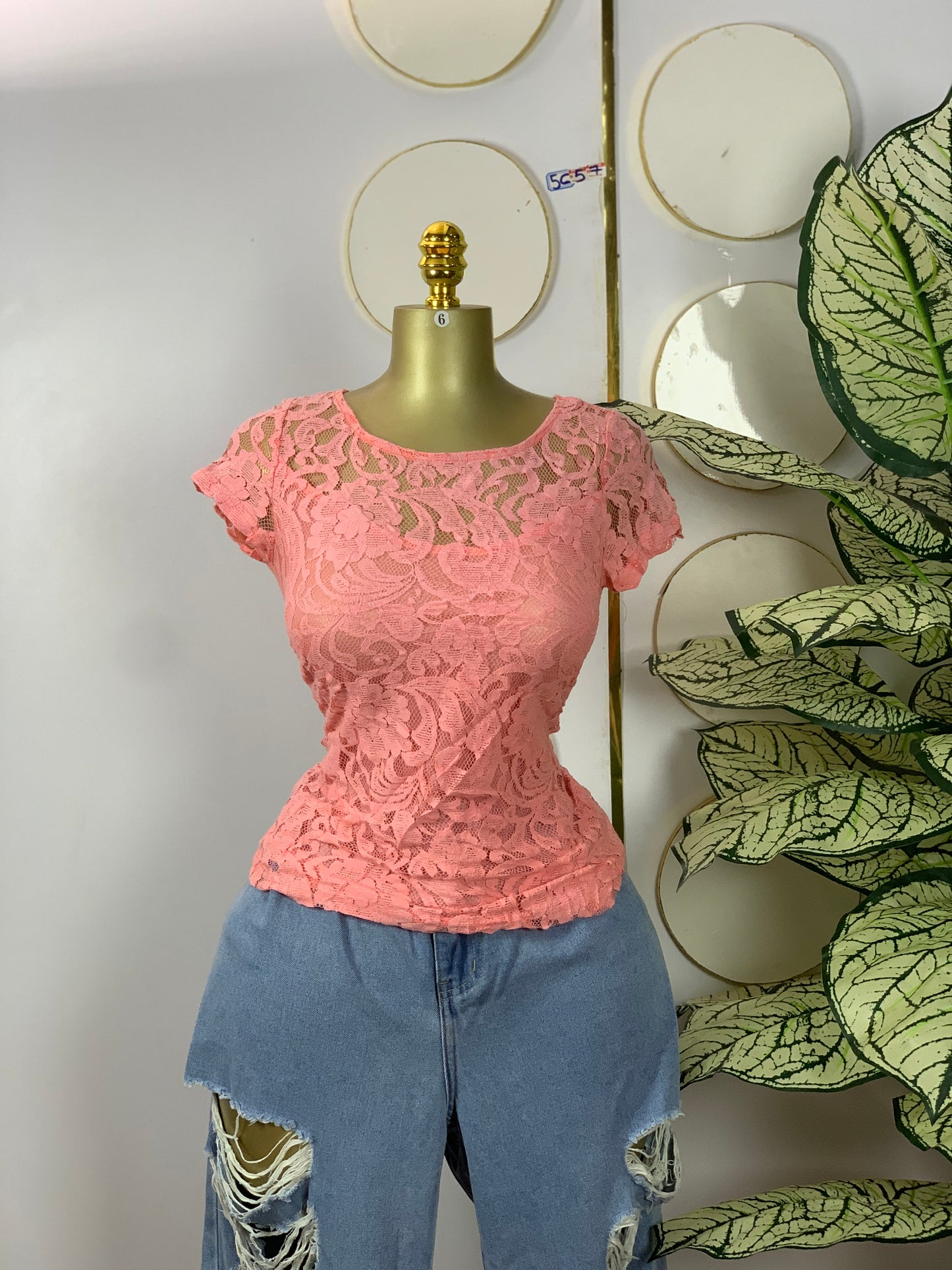 SIZE6 5C57