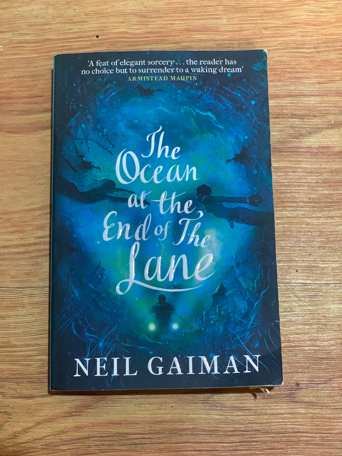 THE OCEAN AT THE END OF THE LANE