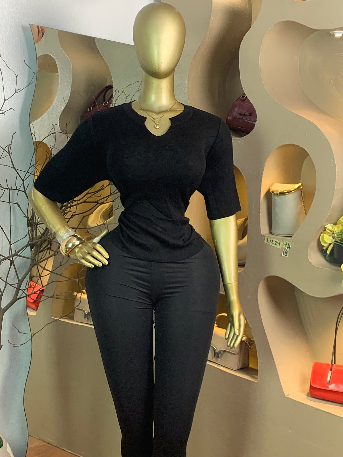 LIZZY74 SIZE18 top only