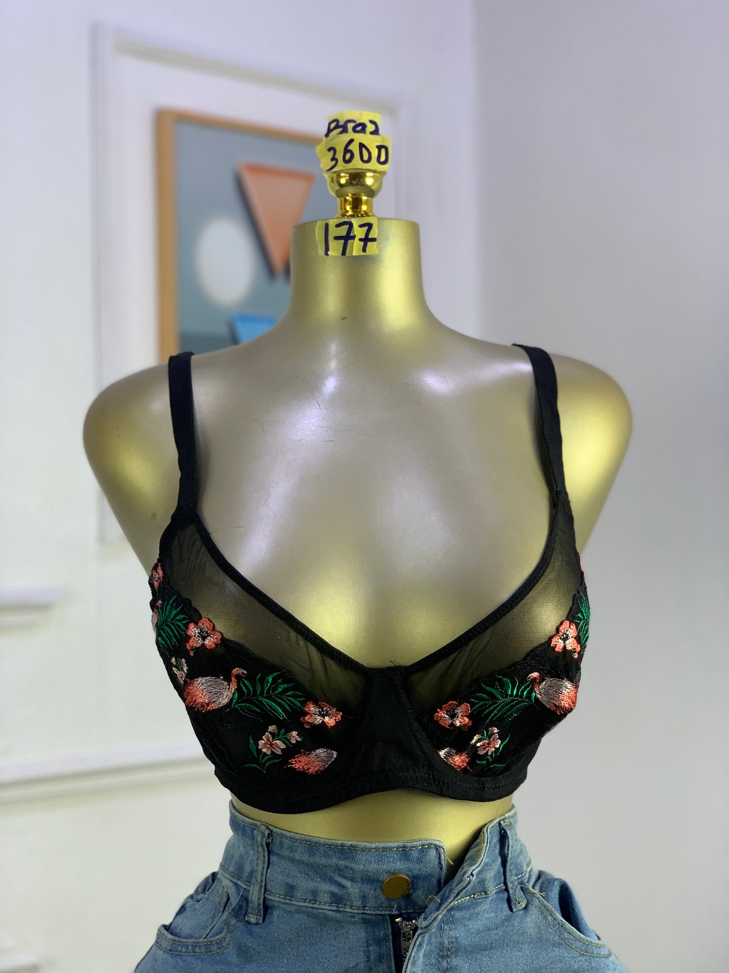 SIZE 36DD BRA2 177