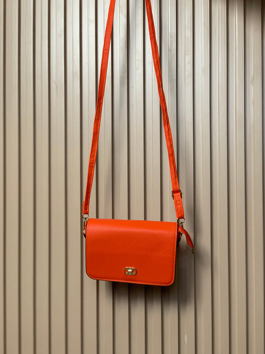 1LUXE BAG19