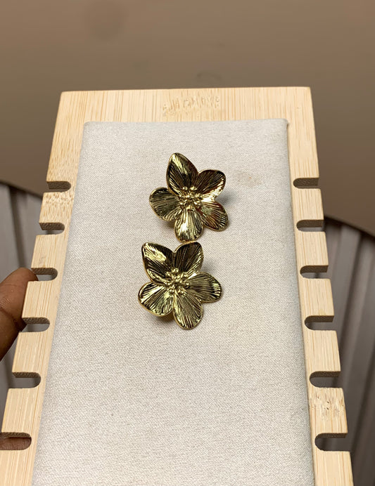 Earring E68