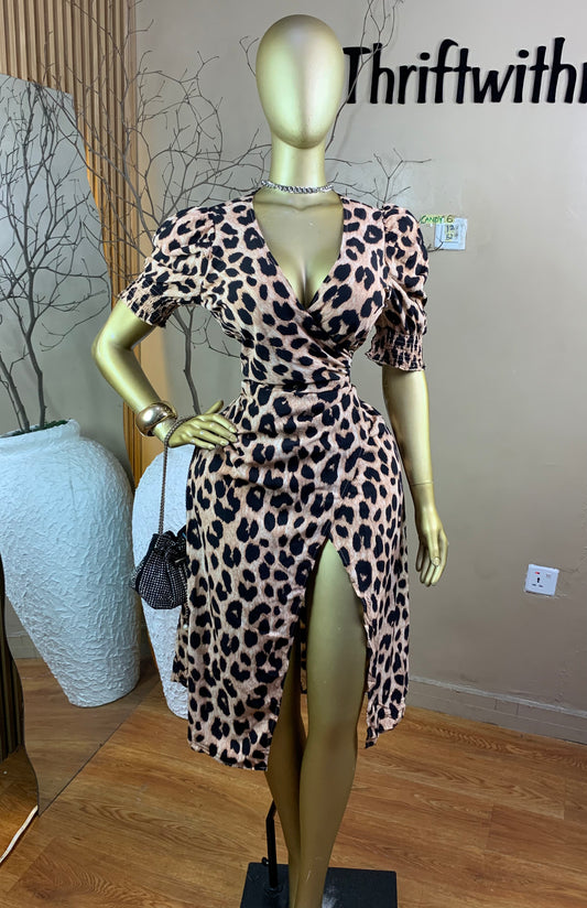 SIZE12 CANDY6 Length52(Animal prints)