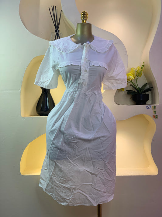 SIZE12 8F19 Length 42