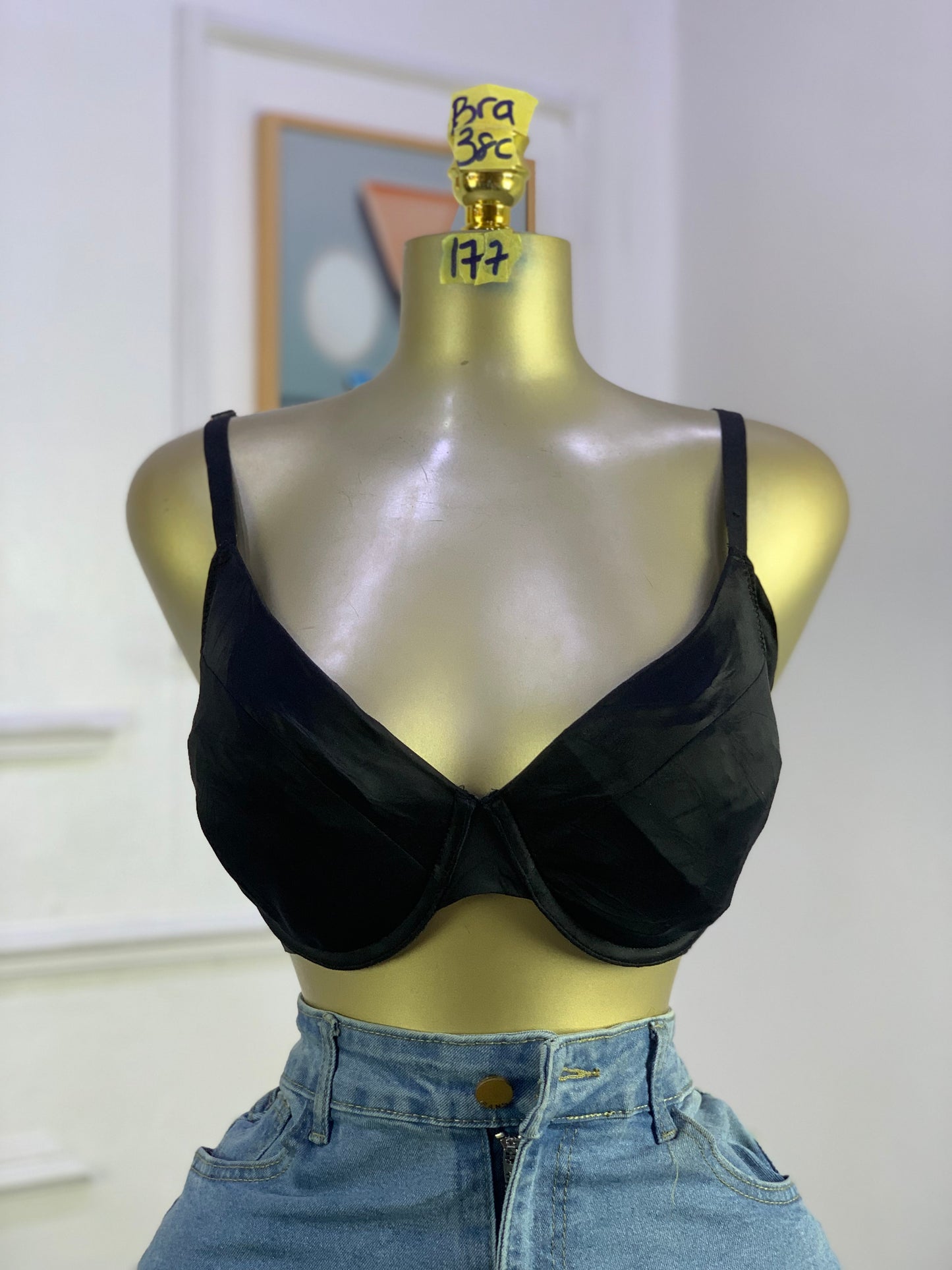 SIZE 38C BRA 177