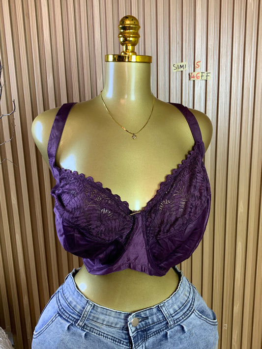 SIMI5 SIZE46FF(Purple bra only)