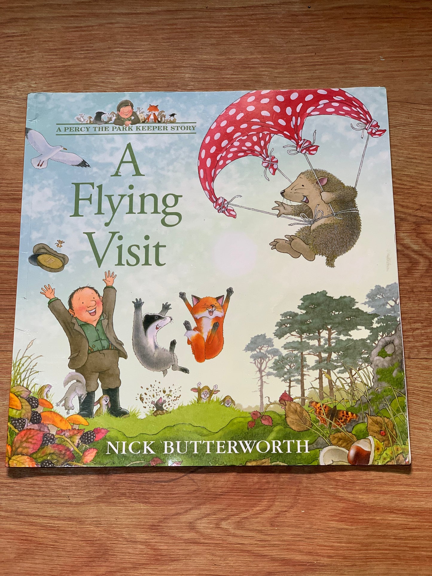 A FLYING VISIT