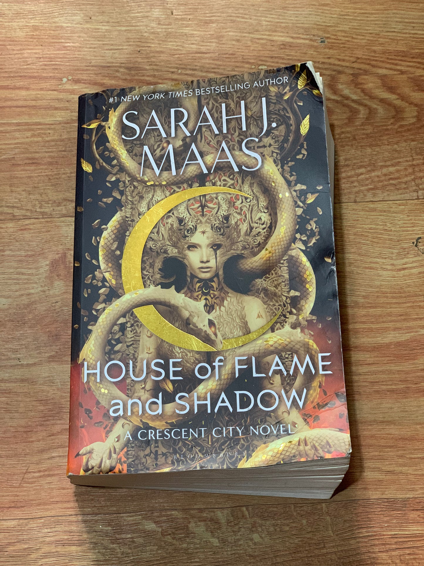 HOUSE OF FLAME AND SHADOW