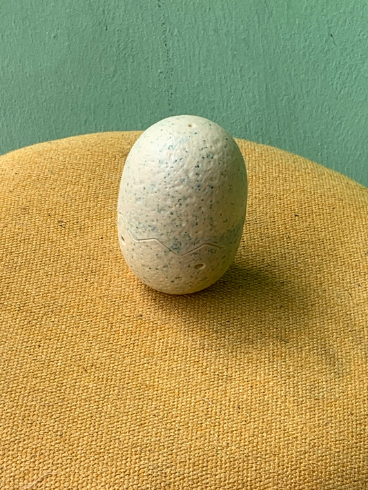 Dinosaur egg(Children toy)