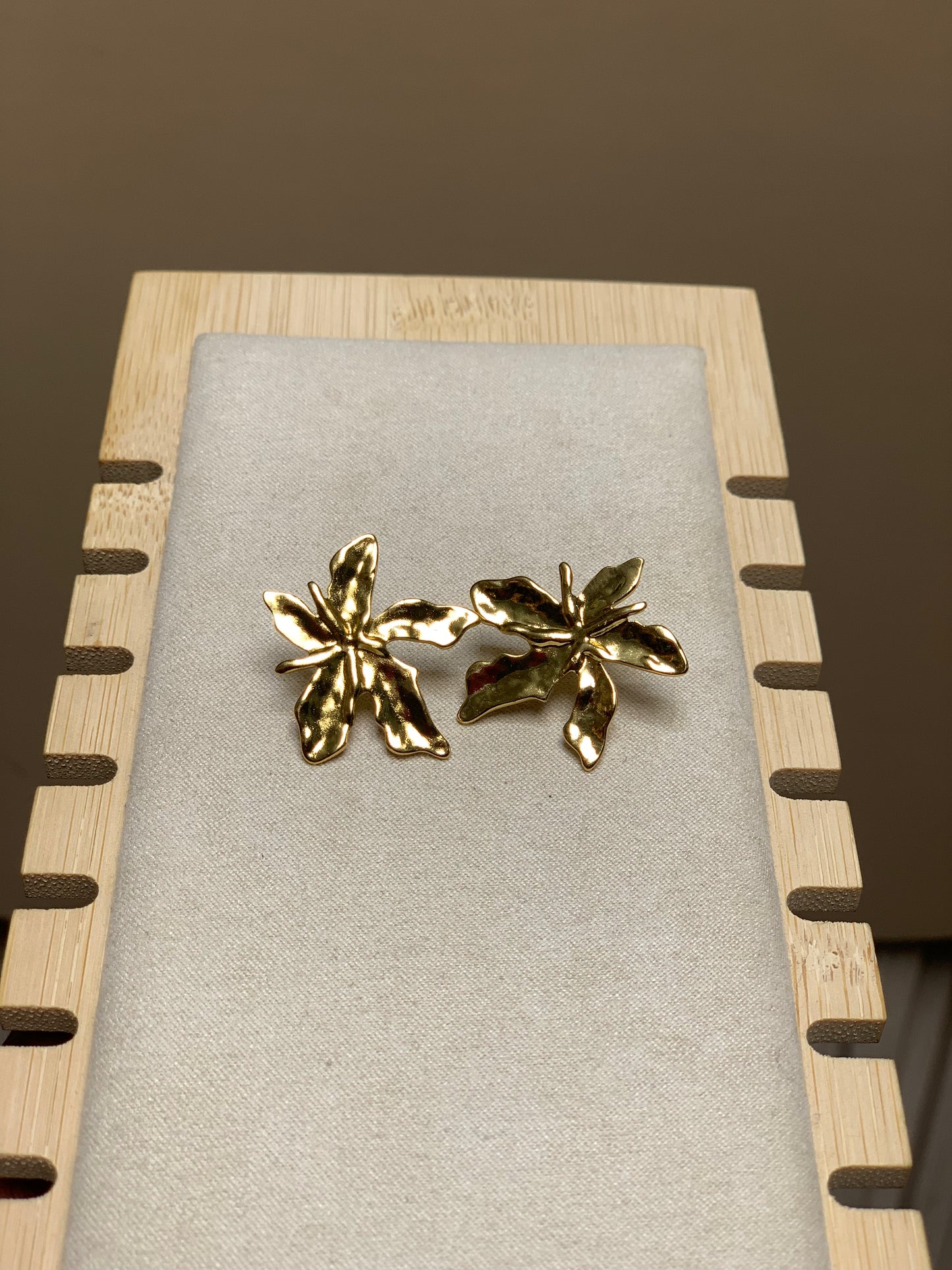Earring E14