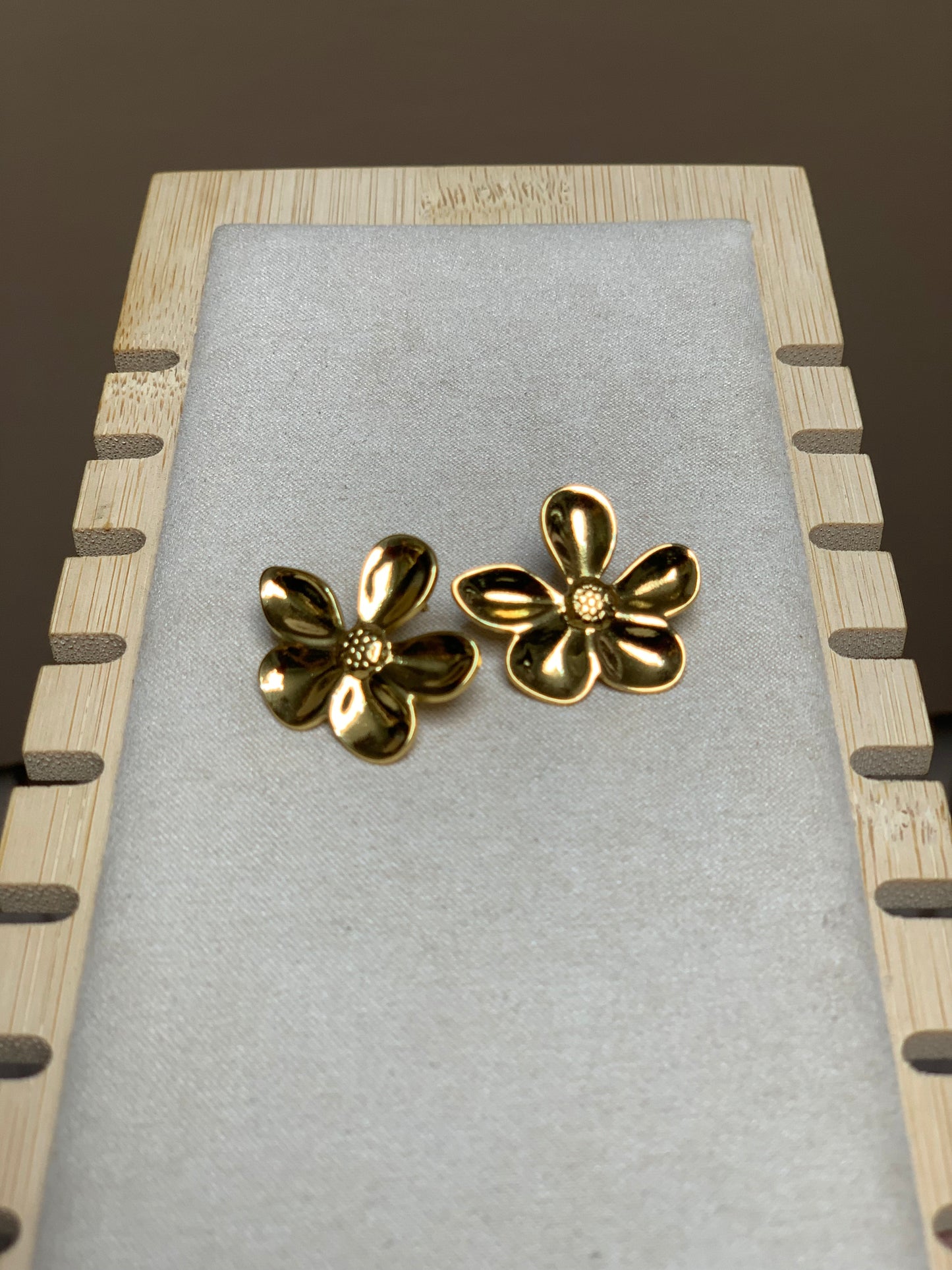 Earring E17
