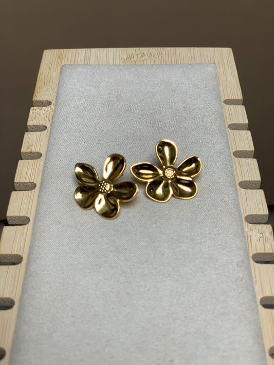 Earring E17