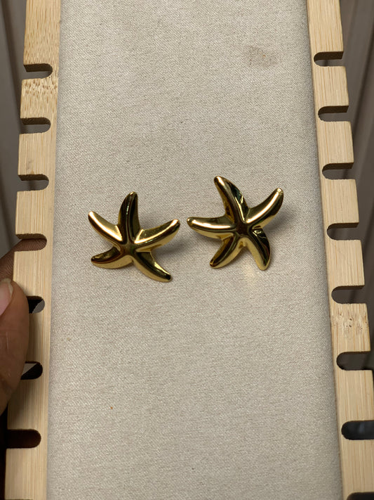 Earring E31