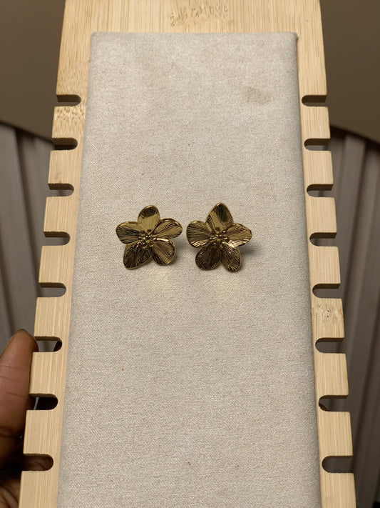 Earring E35