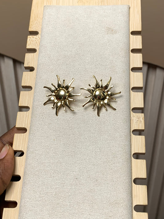 Earring E38