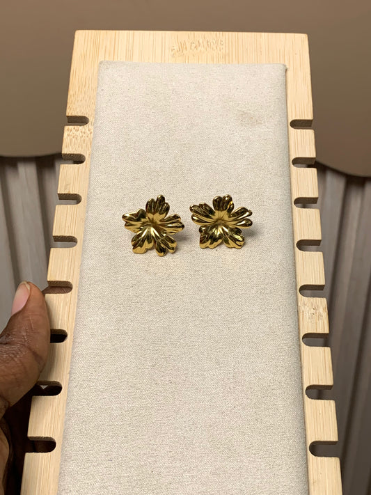 Earring E52