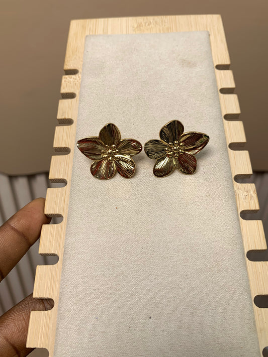 Earring E58
