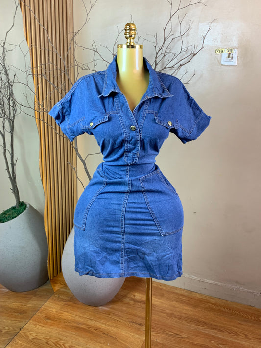 PRESH24 DENIM DRESS SIZE8