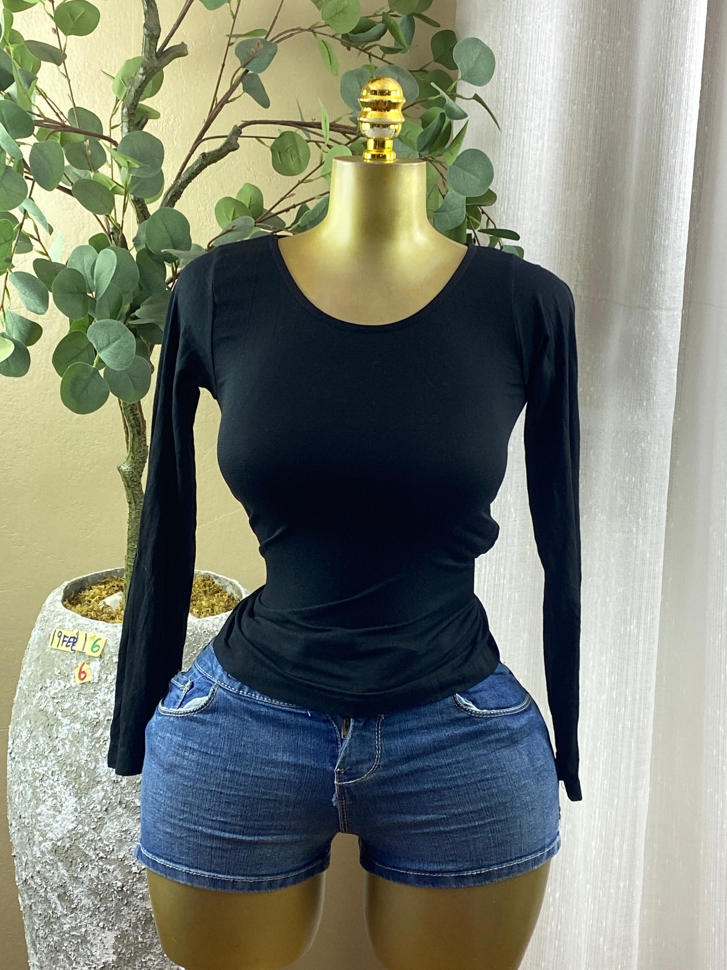 SIZE6 19FEB16